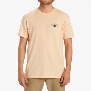 Polera Hombre Kamea Lava Arch Rosado Billabong