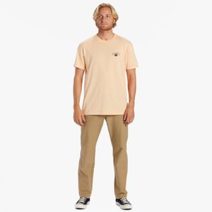 Polera Hombre Kamea Lava Arch Rosado Billabong