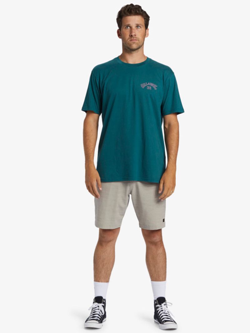 Polera-Hombre-Arch-Fill-Azul-Billabong