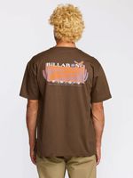 Polera Manga Corta Hombre Land To Sea Regular Café Billabong