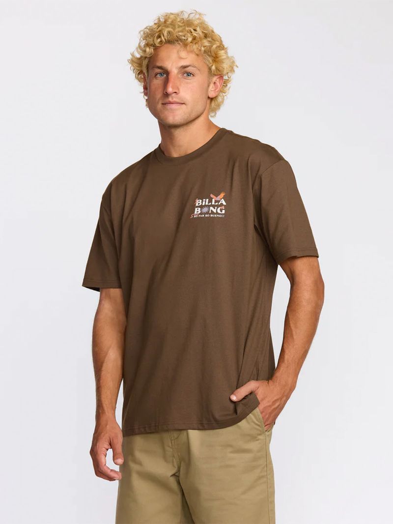 Polera Manga Corta Hombre Land To Sea Regular Café Billabong